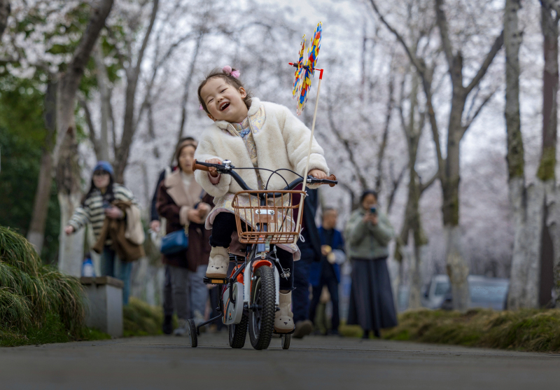 图片出错