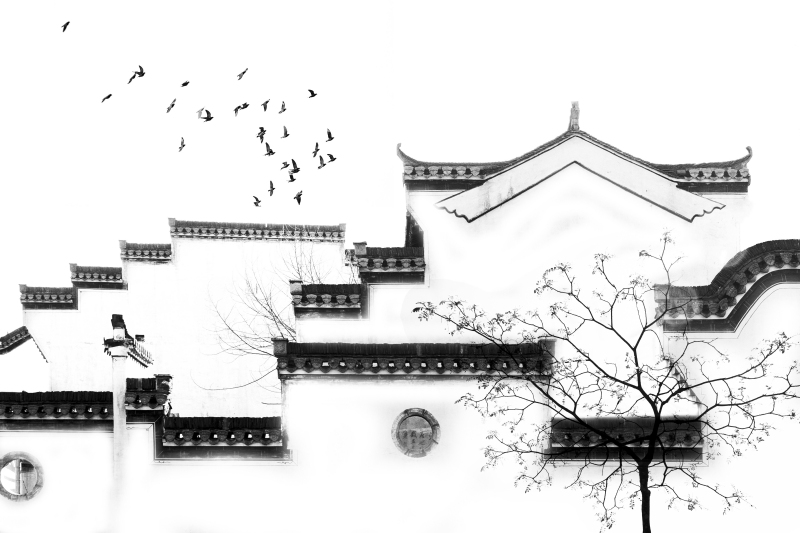 图片出错